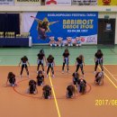 fest 51